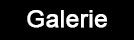 GALERIE - GALLERY